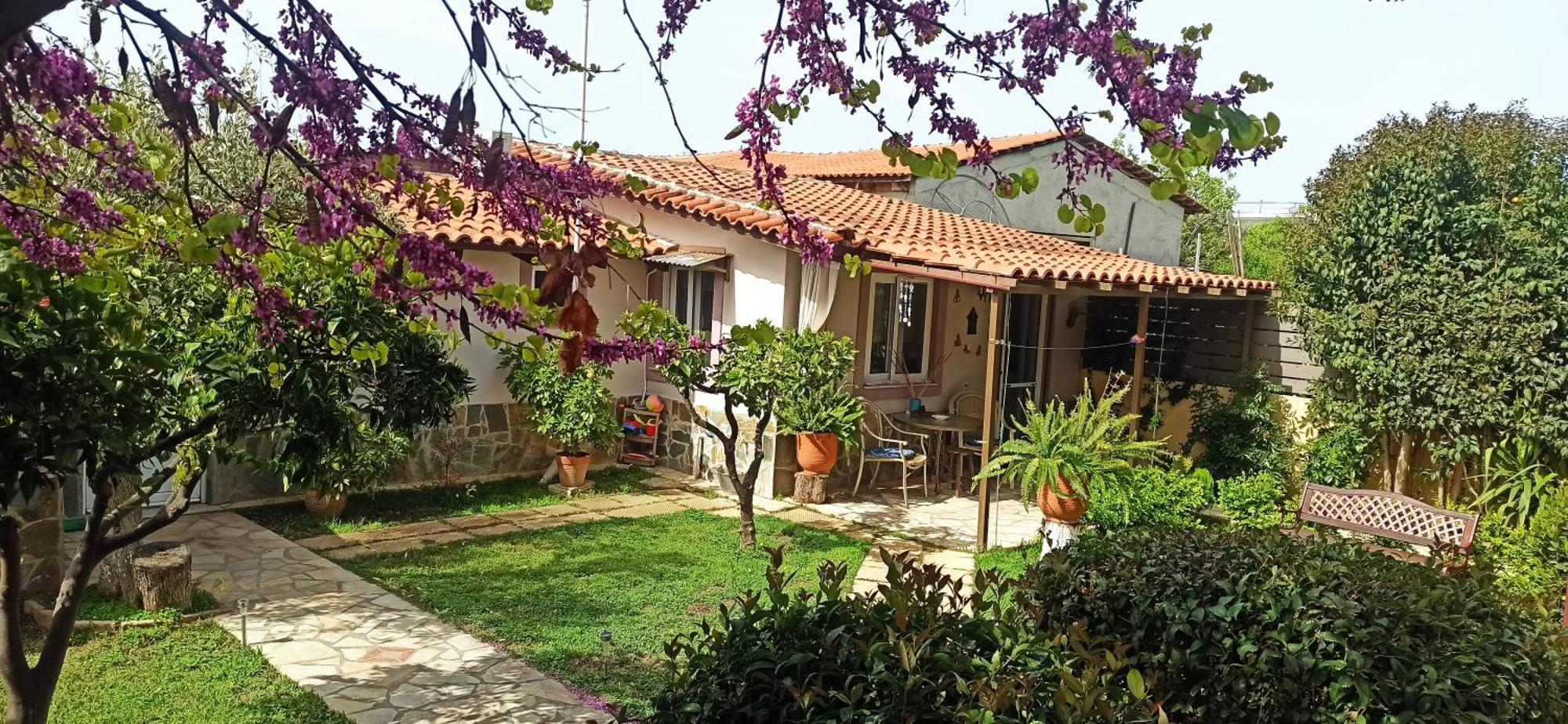 Mozart House Studio Amarinto Exterior foto